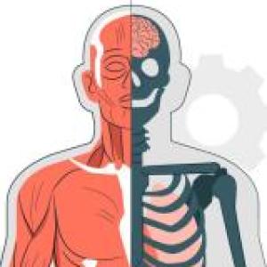 Juego de la OCA: El cuerpo humano