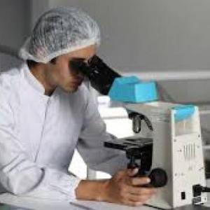 Microscopia