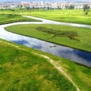 steam river bogota project