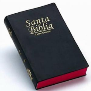 Libros de la Biblia