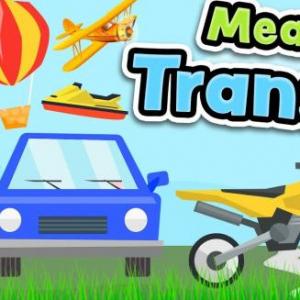 Means of transport