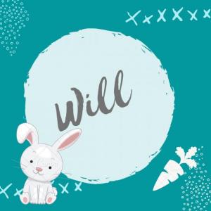 Portada del juego Will – Idiomas