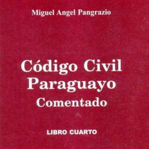 QUE TANTO CONOCES DEL CODIGO CIVIL PARAGUAYO?