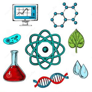 Imagen de portada del videojuego educativo: Reproducción celular: Mitosis y meiosis, de la temática Biología