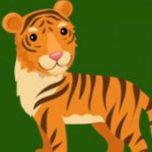 Animales Salvajes