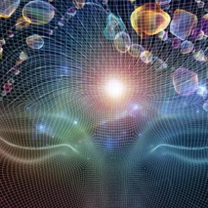 LO PECULIAR DE LAS NEUROCIENCIA.