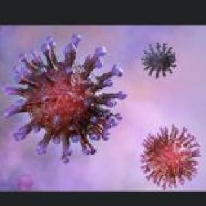 Virus