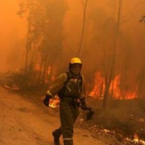 Imagen de portada del videojuego educativo: T2 - Efectos de los Incendios Forestales, de la temática Seguridad