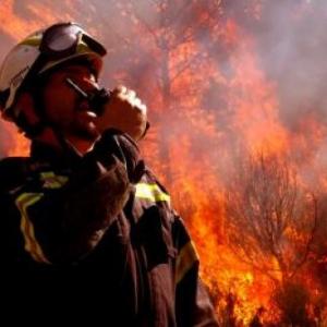 Imagen de portada del videojuego educativo: Los Bomberos Forestales y el Fuego, de la temática Seguridad