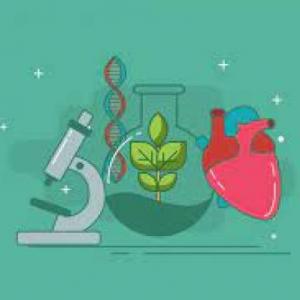 Bioética y sus principios.