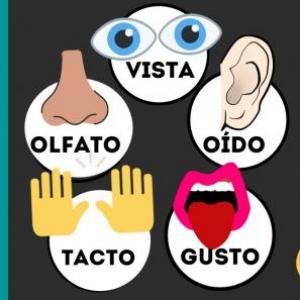 LOS 5 SENTIDOS