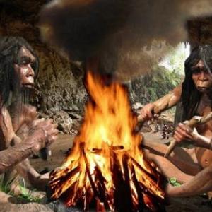 APRENDIENDO DEL HOMO ERECTUS