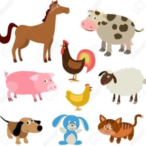 MEMO-TEST DE ANIMALES