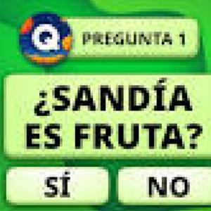 Preguntas