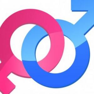 Masculinity vs Feminity