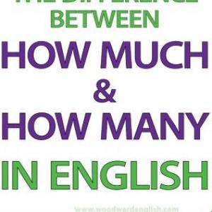Basic vocabulary 