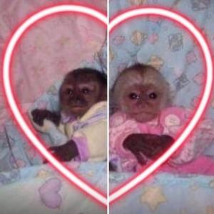 TE AMO