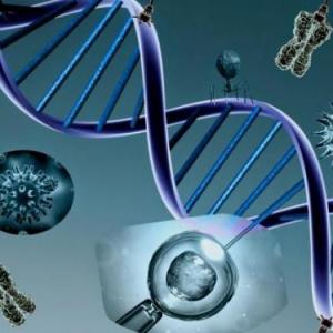Juego de memoria- moleculas organicas e inorganicas