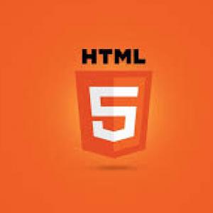 el camido de un programador