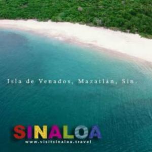 Imagen de portada del videojuego educativo: Islas en Sinaloa, de la temática Biología