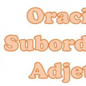 Oraciones subordinadas adjetivas