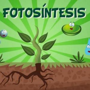 fotosíntesis