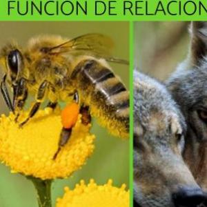 Aprendo jugando 2