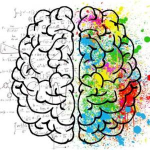 proyecto de aula  neuro