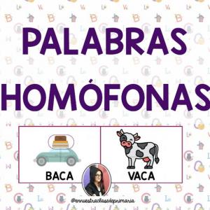 Imagen de portada del videojuego educativo: PALABRAS HOMÓFONAS, de la temática Lengua