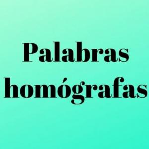 Imagen de portada del videojuego educativo: PALABRAS HOMÓGRAFAS, de la temática Lengua