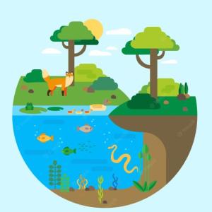 Imagen de portada del videojuego educativo: Ecosistemas , de la temática Medio ambiente