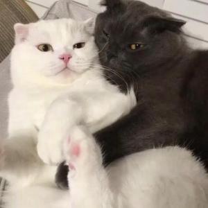 para mi amor mas querido