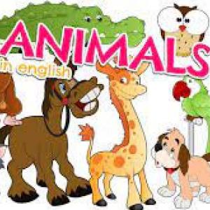ANIMALS
