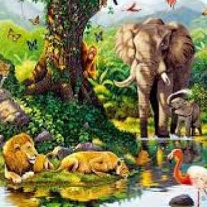 CONCEPTOS DE EL MEDIO AMBENTE ECOSISTEMAS CAMBIOS Y ANIMALES