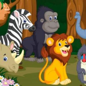 Animales