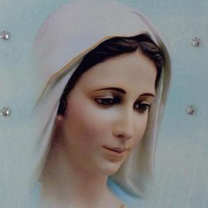 Imagen de portada del videojuego educativo: Espiritualidad de los Sagrados Corazones, a la luz de Nuestra Señora de la Paz, de la temática Religión