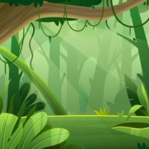 BUSCAMOS ANIMALES EN LA JUNGLA