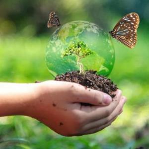 Niveles de la Biodiversidad 