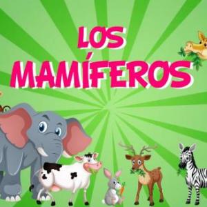 mamiferos