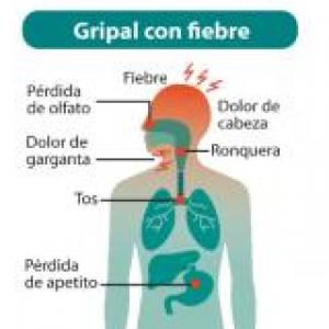La gran pandemia 2