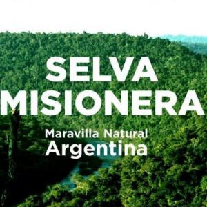 ANIMALES DE LA SELVA MISIONERA