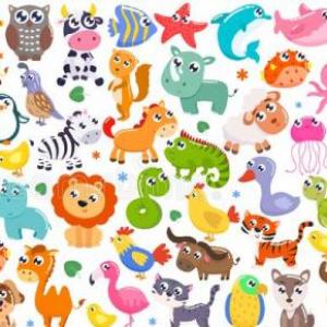 Explorando el maravilloso mundo de los animales