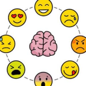 SIN AFECTO NO SE LOGRAN LOS EFCETOS DE TRANSFORMACION EN LOS INDIVIDUOS