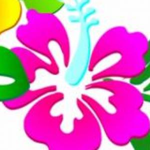 flores