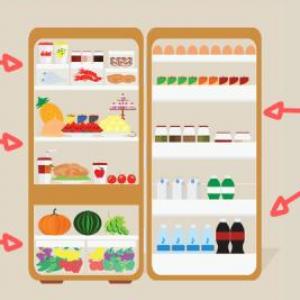Cada Alimento en su lugar