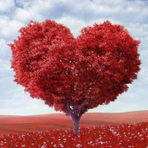 TIPOS DE AMOR