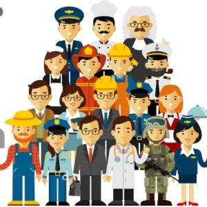 PROFESSIONS OR OCCUPATIONS 1