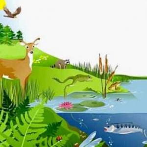 Imagen de portada del videojuego educativo: Ecosistemas (3º Primaria), de la temática Biología