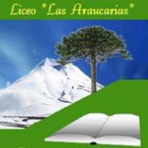 LICEO LAS ARAUCARIAS CURACAUTIN