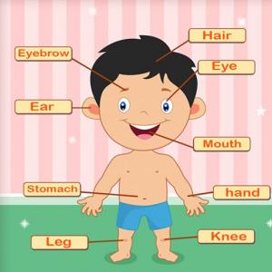 Parts of the body